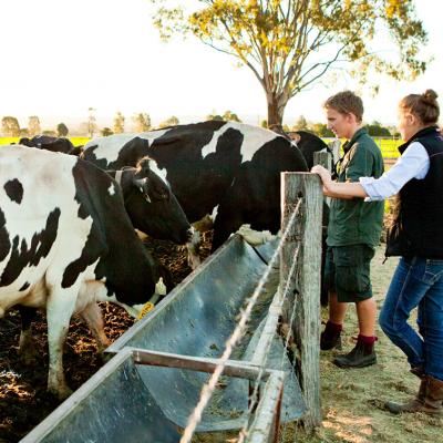 Rural scholarships