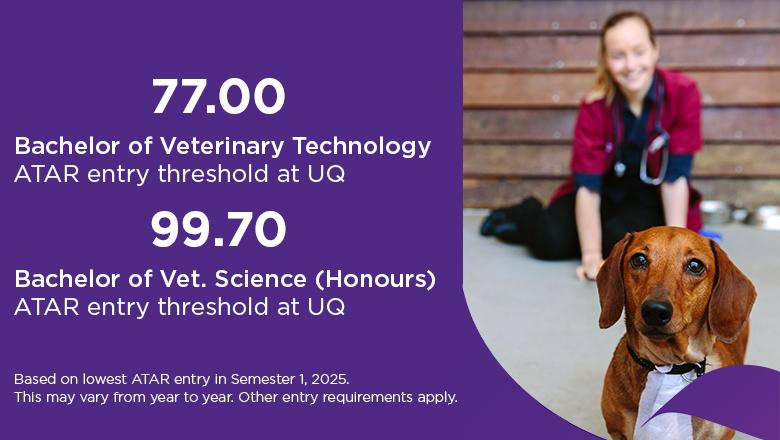 The Bachelor of Veterinary Technology ATAR entry threshold at UQ is 77, while the Bachelor of Vet Science (Honours) ATAR entry threshold is 99.70. This is based on the lowest ATAR entry in Semester 1, 2025. This may vary from year to year. Other entry requirements apply.