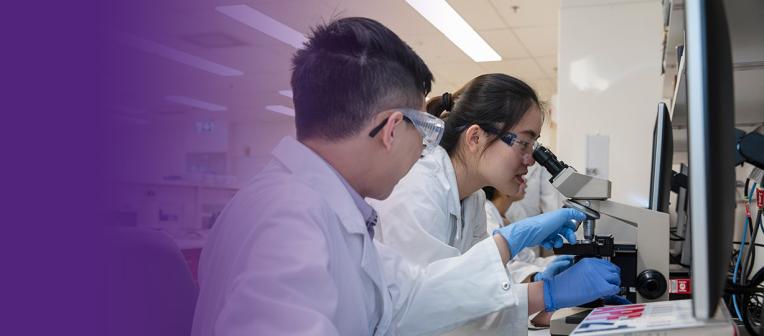 Study pharmacy