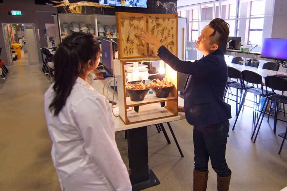 A science lecturer points at insect specimens in the biology teaching labs
